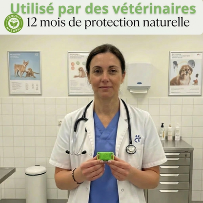 BauPaw™ Pendentif – 12 mois de protection naturelle pour chiens