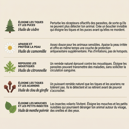 BauPaw™ Pendentif – 12 mois de protection naturelle pour chats