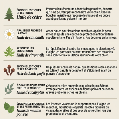 BauPaw™ Pendentif – 12 mois de protection naturelle pour chiens