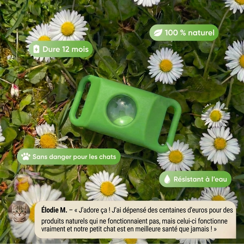 BauPaw™ Pendentif – 12 mois de protection naturelle pour chats