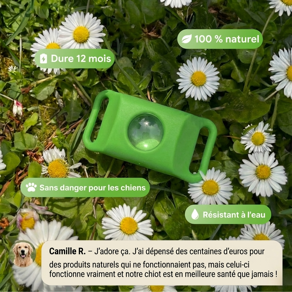 BauPaw™ Pendentif – 12 mois de protection naturelle pour chiens