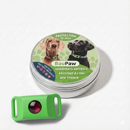 BauPaw™ Pendentif – 12 mois de protection naturelle pour chiens
